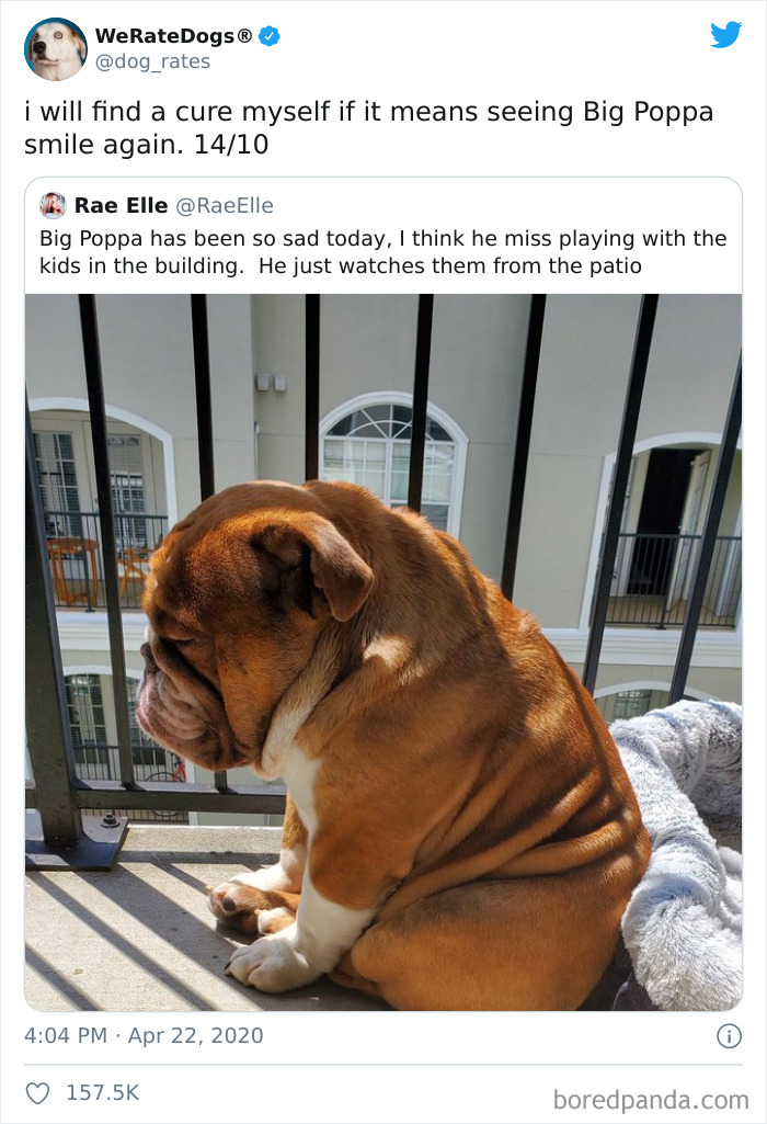 We-Rate-Dogs-Twitter