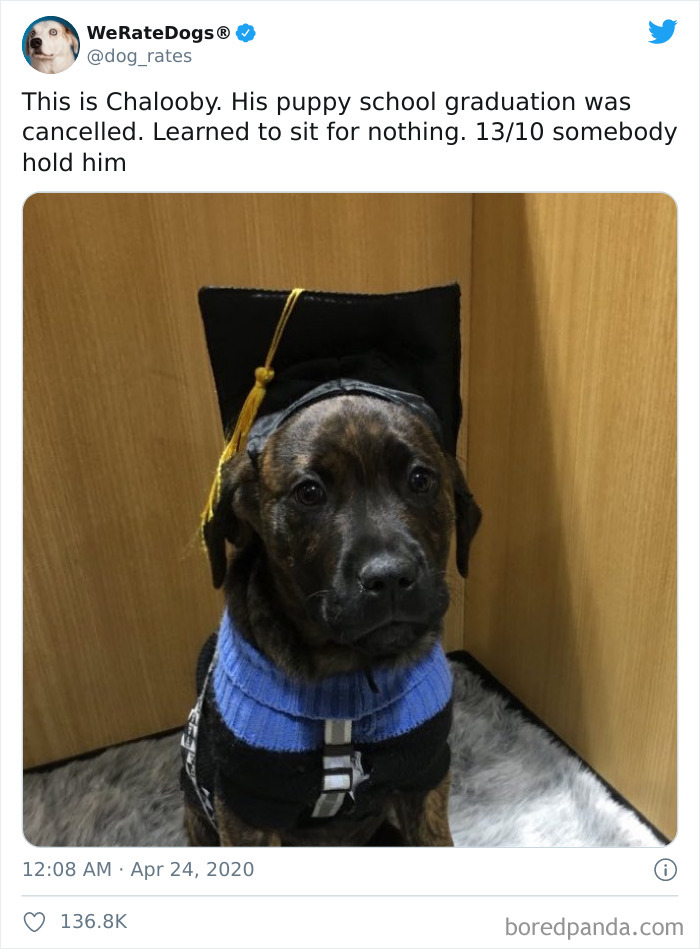 We-Rate-Dogs-Twitter