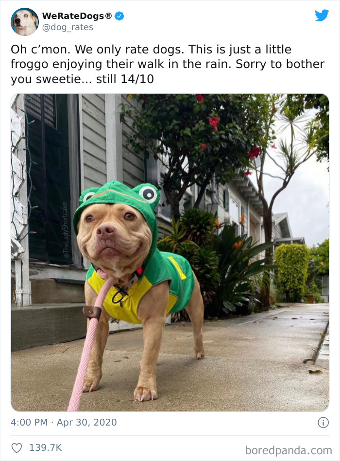 We-Rate-Dogs-Twitter