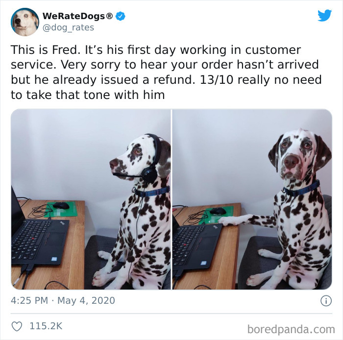 We-Rate-Dogs-Twitter