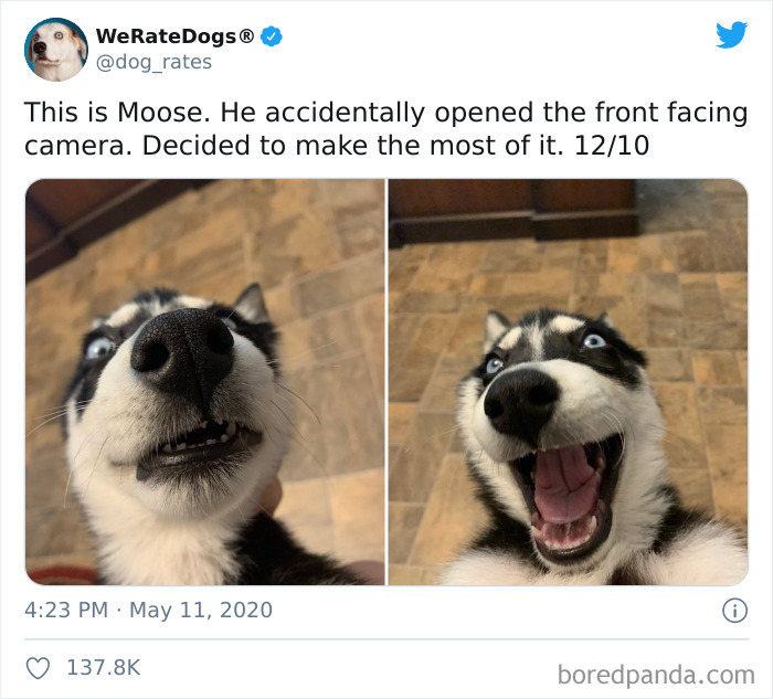 We-Rate-Dogs-Twitter