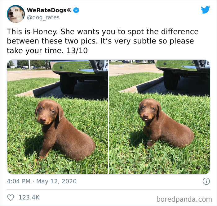 We-Rate-Dogs-Twitter