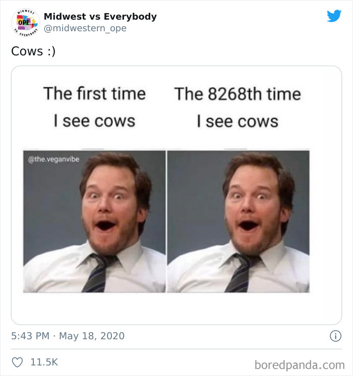 Funny-Midwestern-Tweets