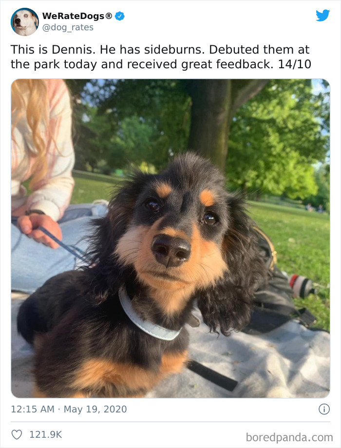 We-Rate-Dogs-Twitter