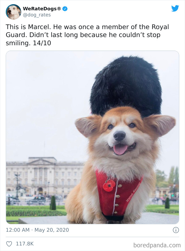 We-Rate-Dogs-Twitter