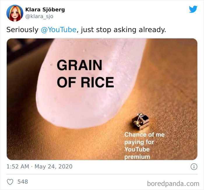 Grain of rice meme comparing the likelihood of paying for YouTube Premium, illustrating relatable humor.