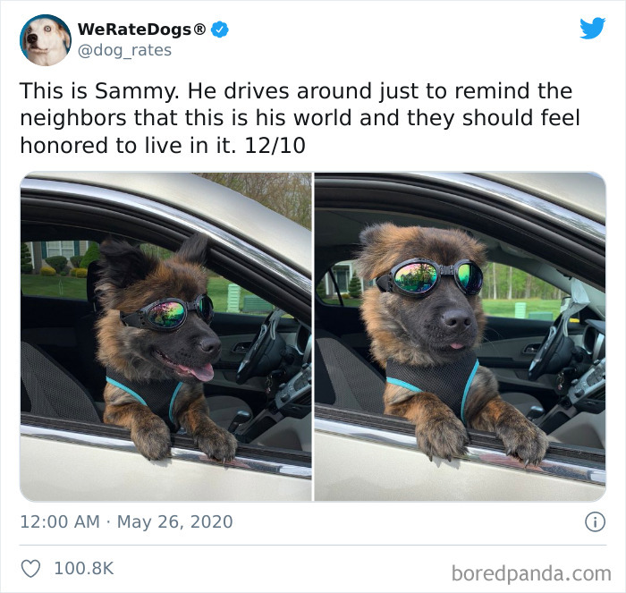 We-Rate-Dogs-Twitter
