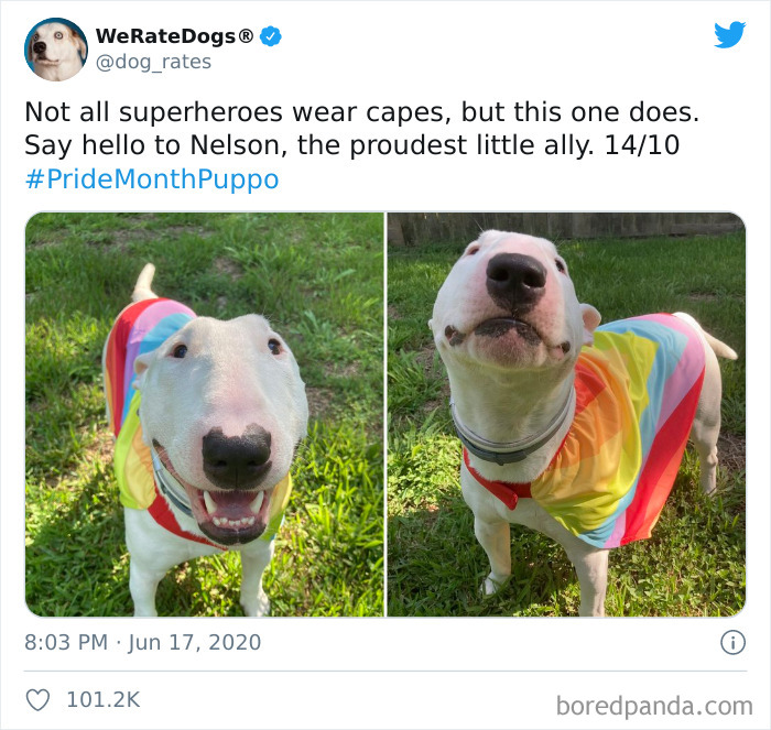 We-Rate-Dogs-Twitter