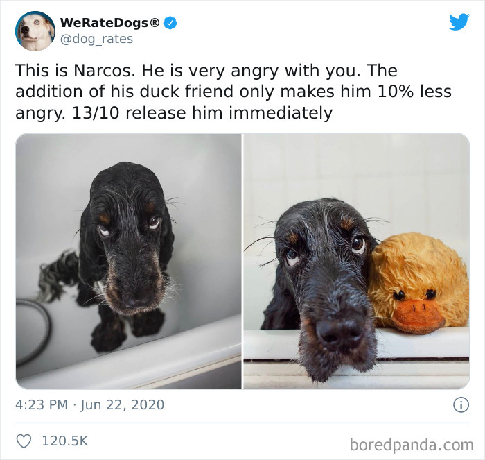 We-Rate-Dogs-Twitter