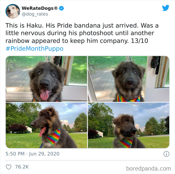 We-Rate-Dogs-Twitter