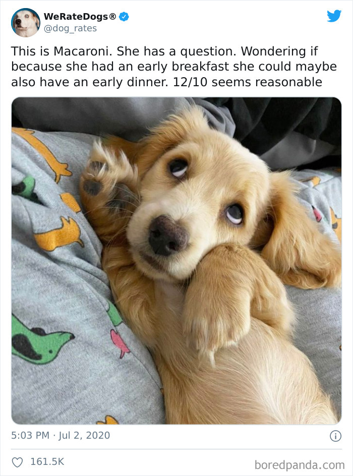 We-Rate-Dogs-Twitter