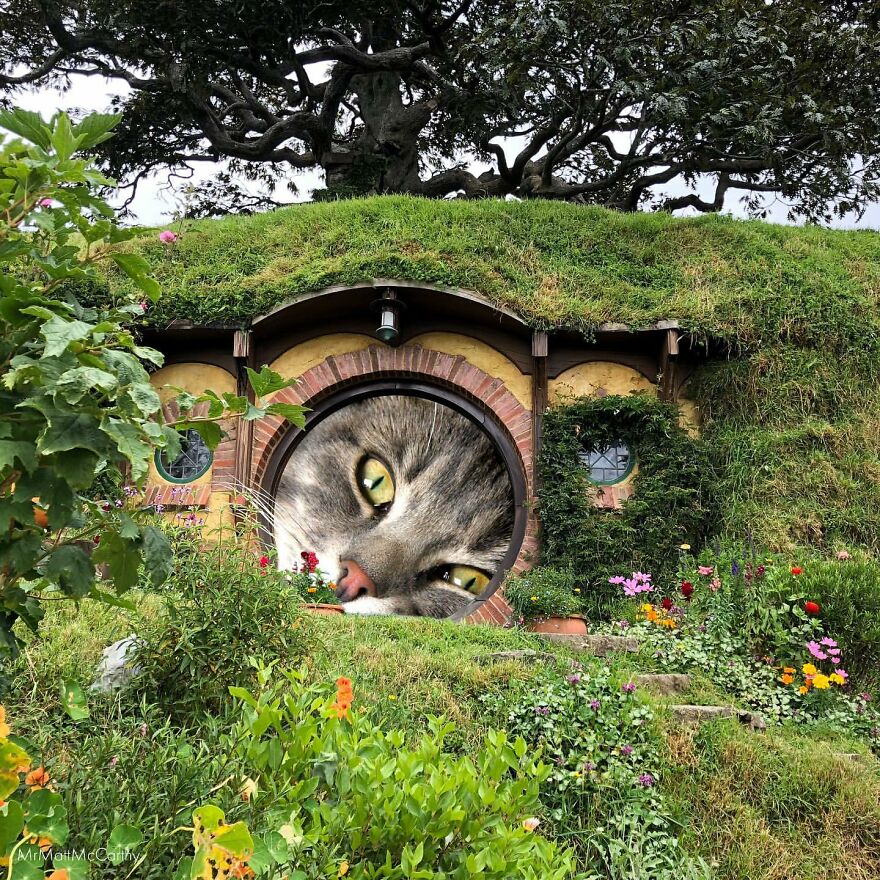 Artist Imagines The World With Giant Cats, And The Result Is Purrrfect