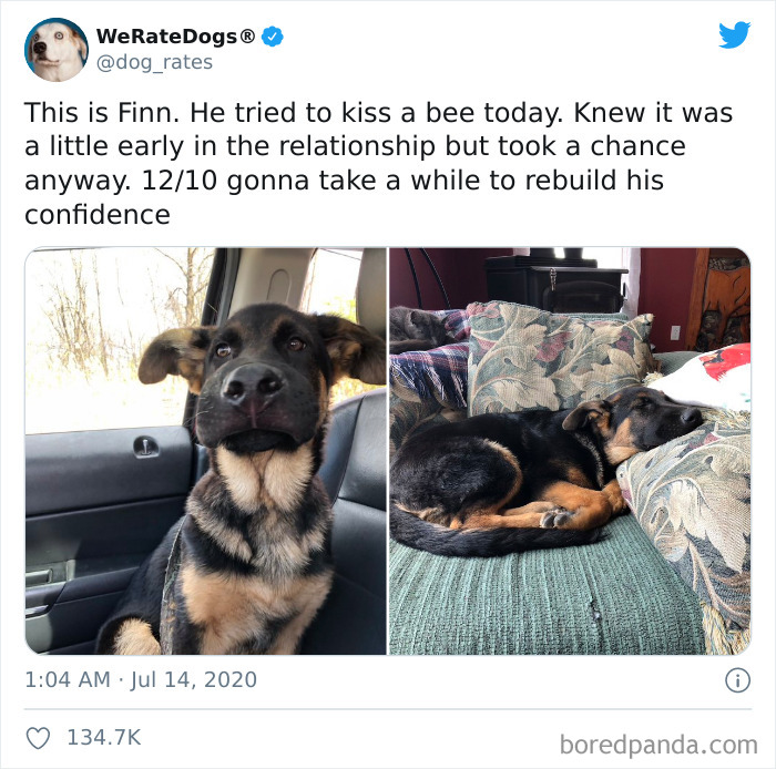 We-Rate-Dogs-Twitter