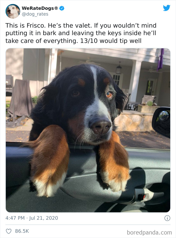 We-Rate-Dogs-Twitter