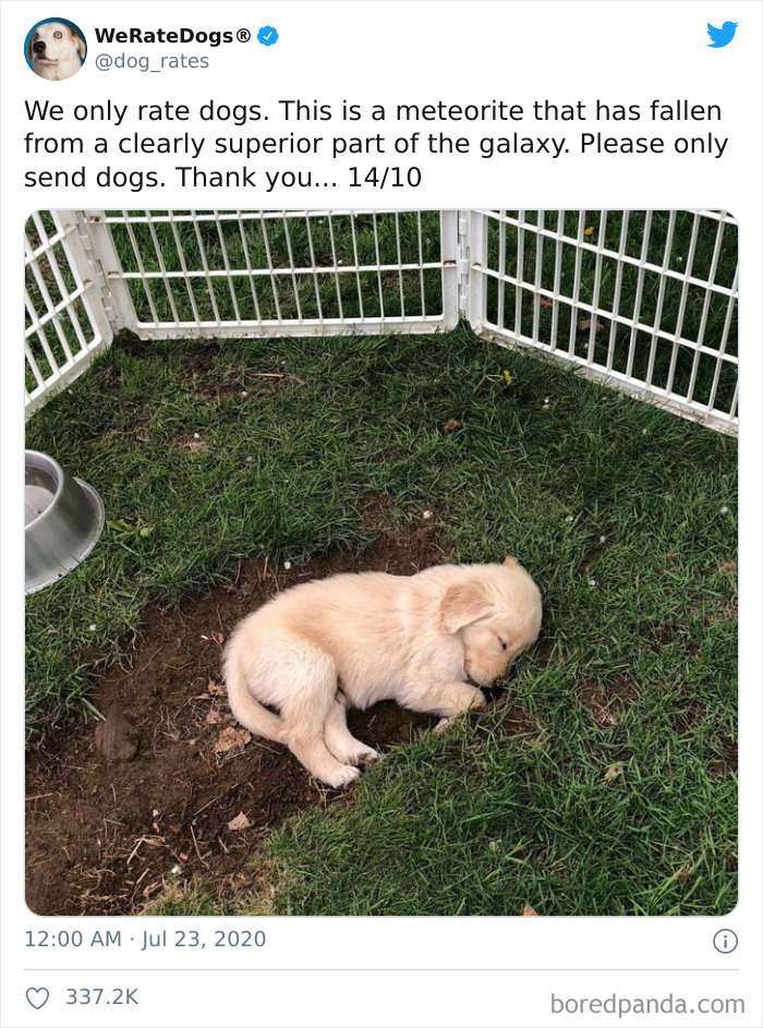 We-Rate-Dogs-Twitter