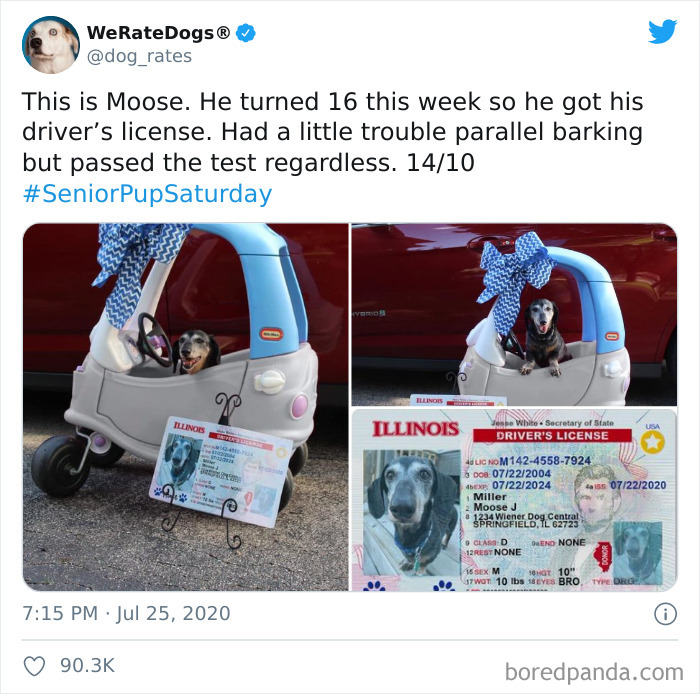 We-Rate-Dogs-Twitter