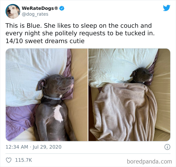 We-Rate-Dogs-Twitter