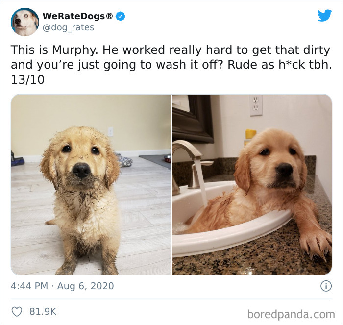We-Rate-Dogs-Twitter