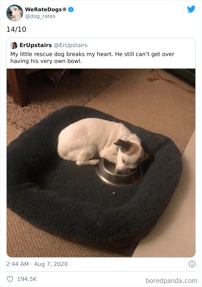 We-Rate-Dogs-Twitter