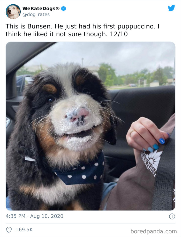 We-Rate-Dogs-Twitter