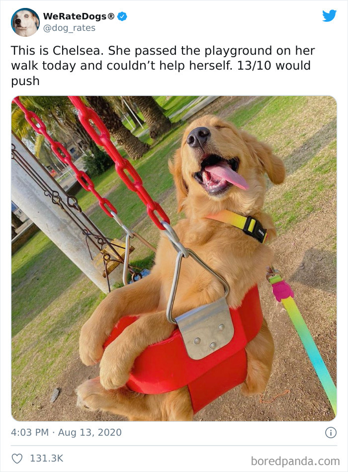 We-Rate-Dogs-Twitter