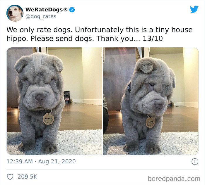 We-Rate-Dogs-Twitter