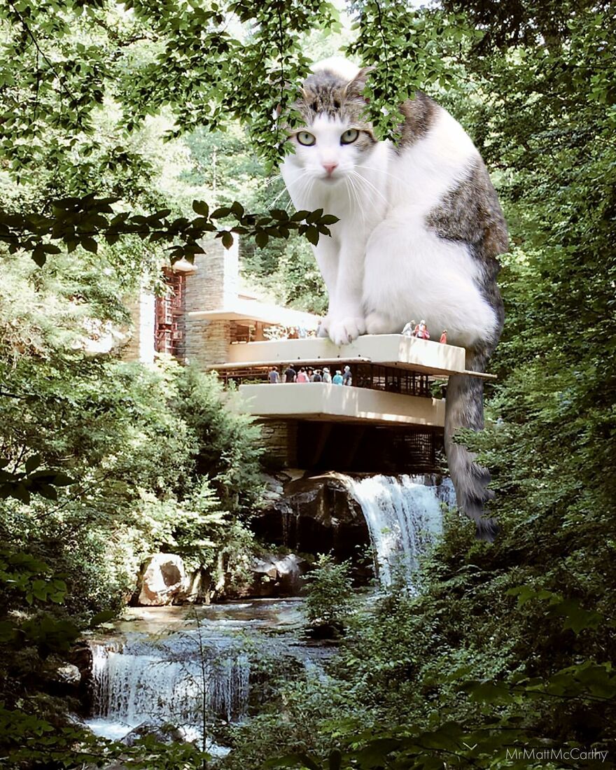 Artist Imagines The World With Giant Cats, And The Result Is Purrrfect
