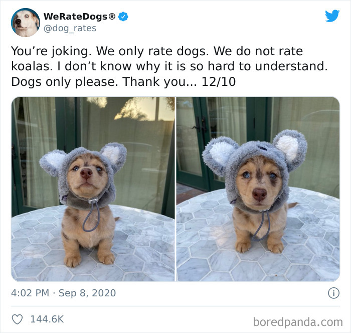 We-Rate-Dogs-Twitter
