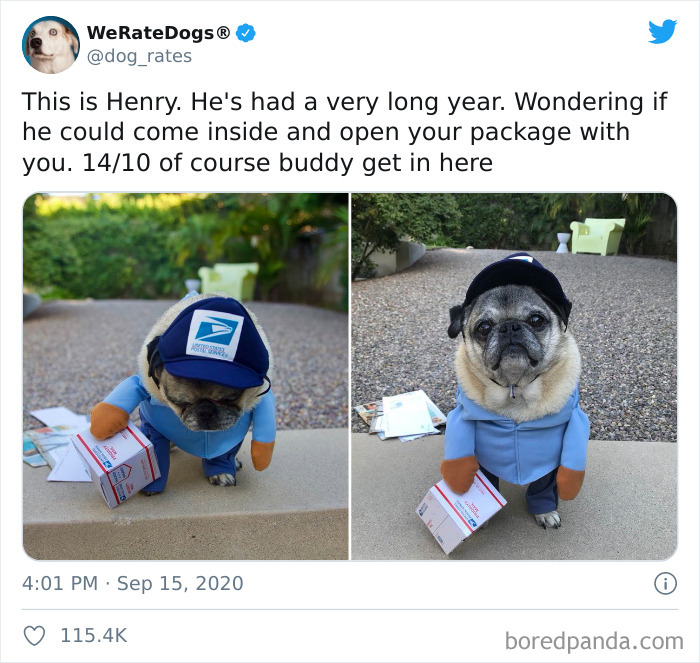 We-Rate-Dogs-Twitter