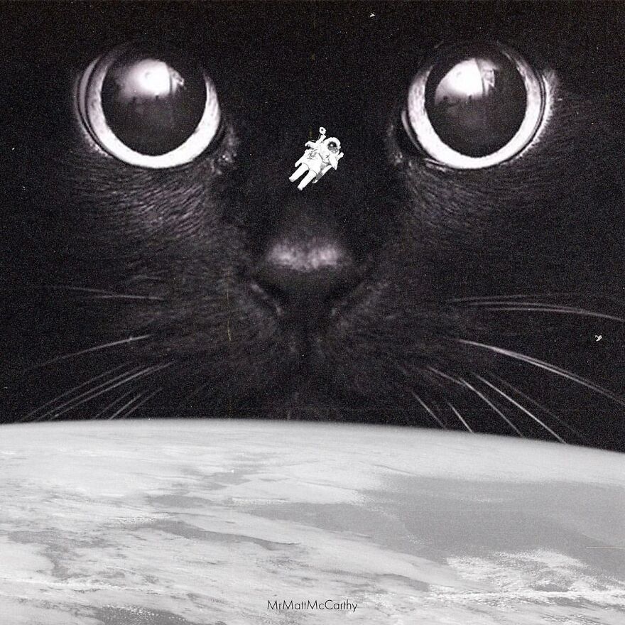 Artist Imagines The World With Giant Cats, And The Result Is Purrrfect