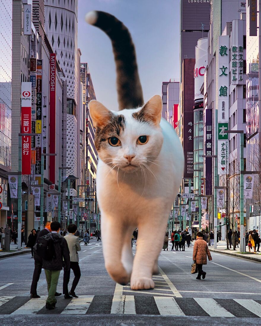 Artist Imagines The World With Giant Cats, And The Result Is Purrrfect