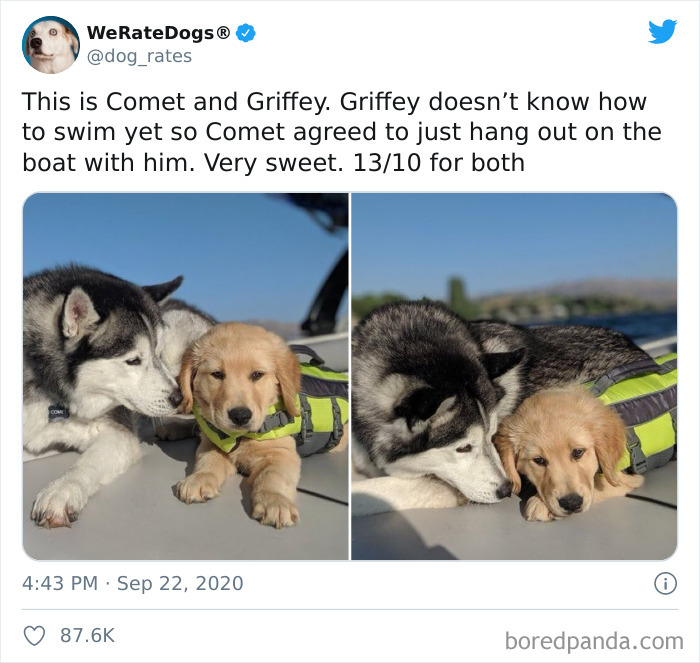 We-Rate-Dogs-Twitter
