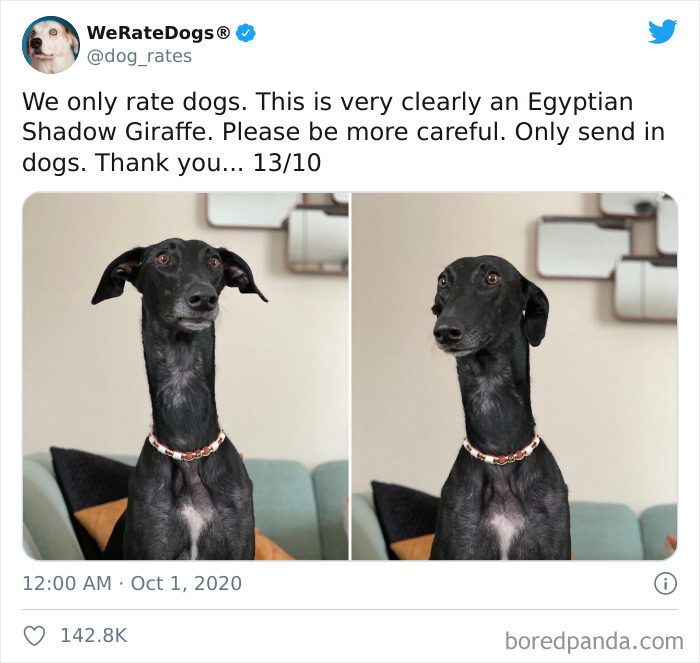 We-Rate-Dogs-Twitter