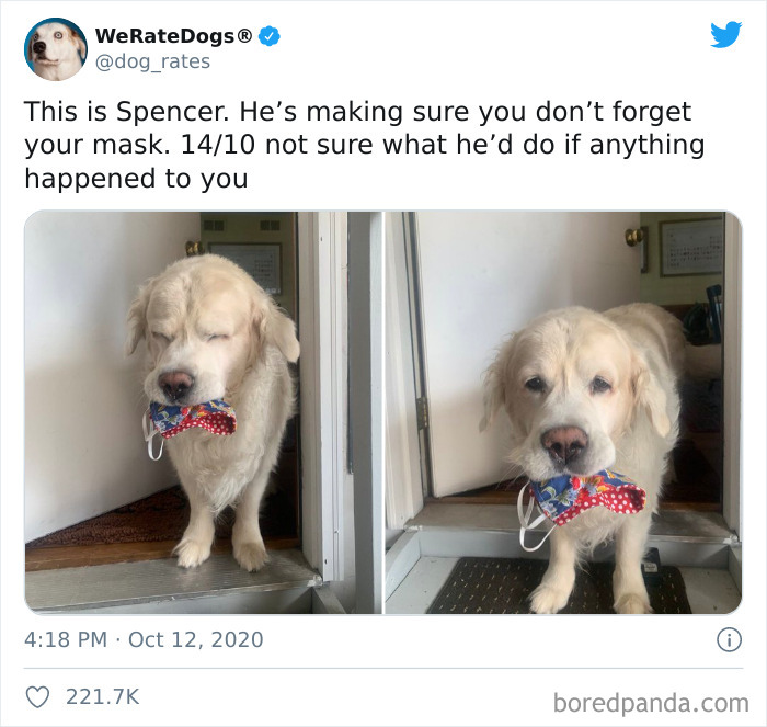 We-Rate-Dogs-Twitter