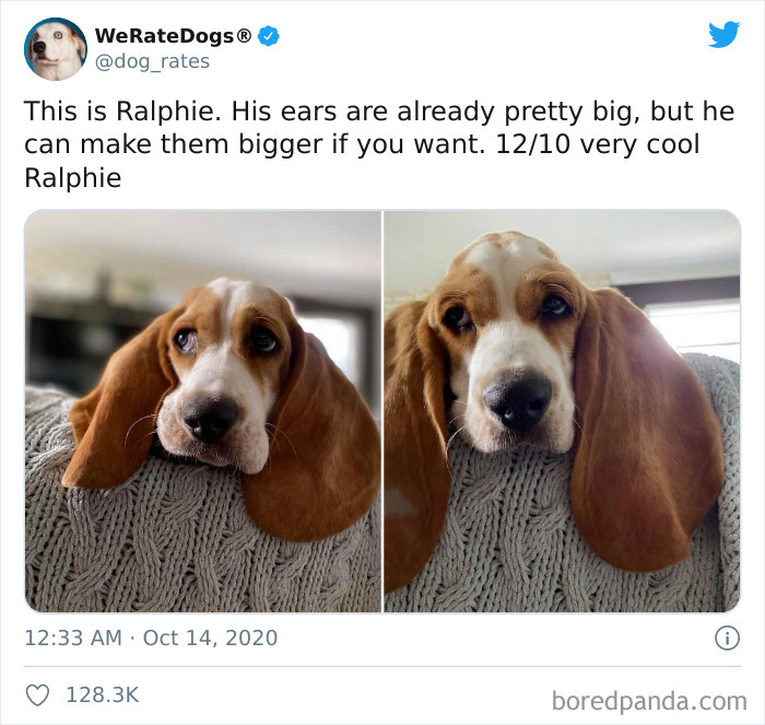We-Rate-Dogs-Twitter
