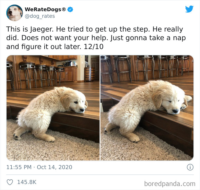 We-Rate-Dogs-Twitter