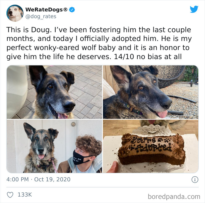 We-Rate-Dogs-Twitter