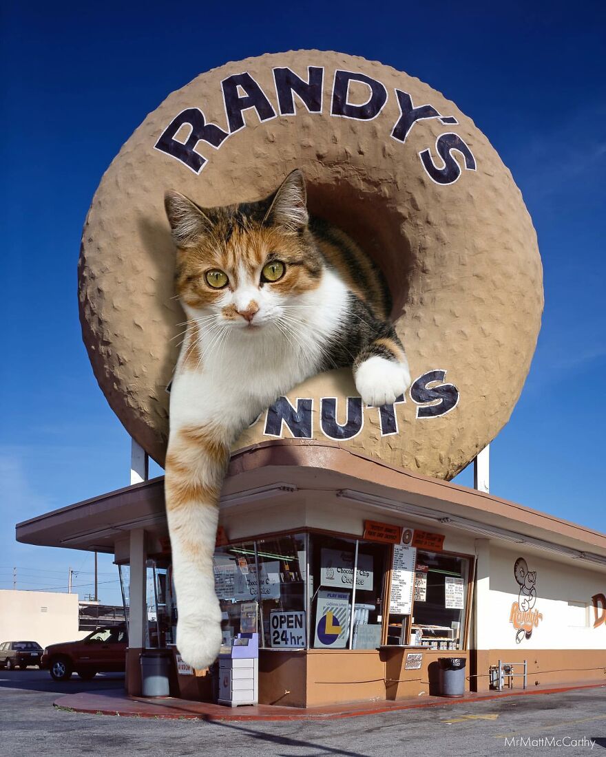 Artist Imagines The World With Giant Cats, And The Result Is Purrrfect