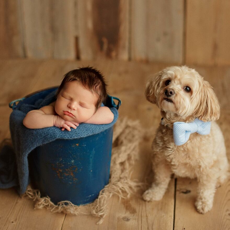 I Took Pictures Of A Family With Their Newborn Baby And Dogs (10 Pics)