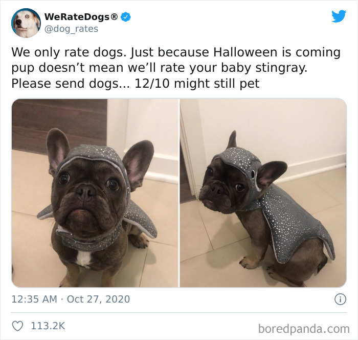 We-Rate-Dogs-Twitter