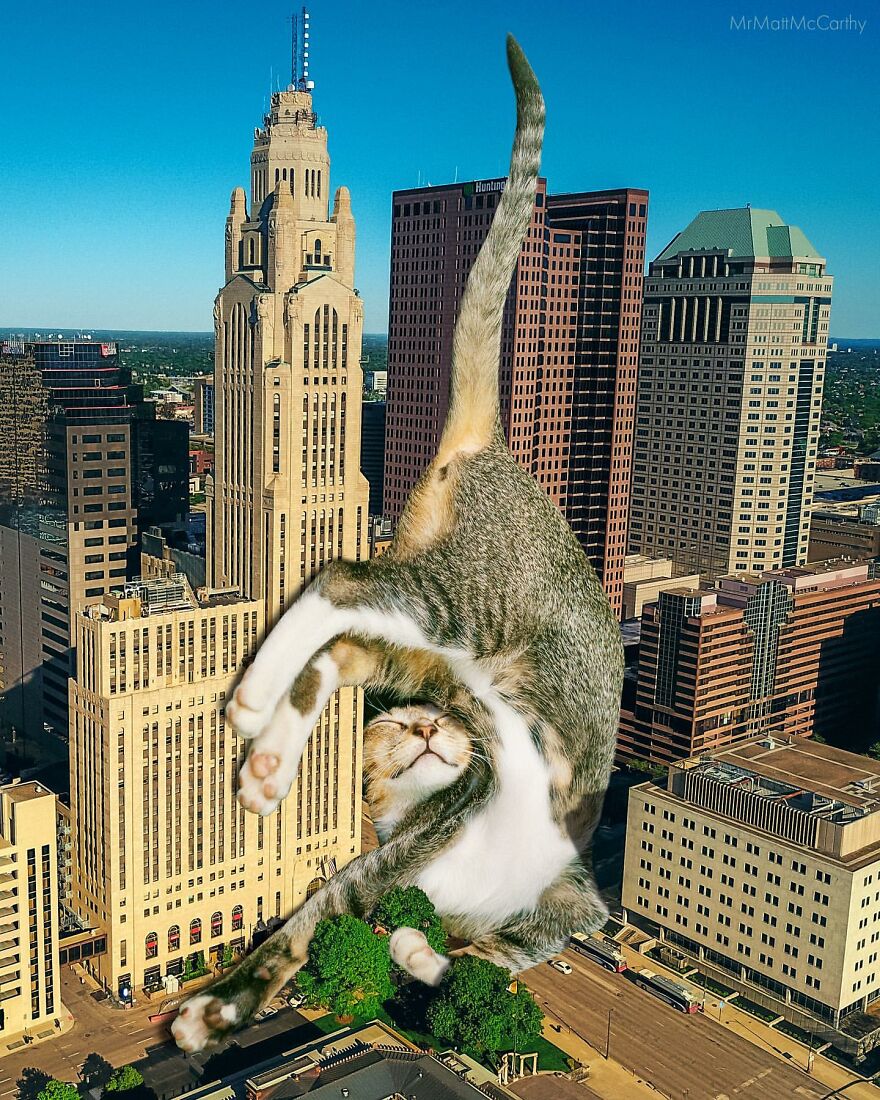 Artist Imagines The World With Giant Cats, And The Result Is Purrrfect