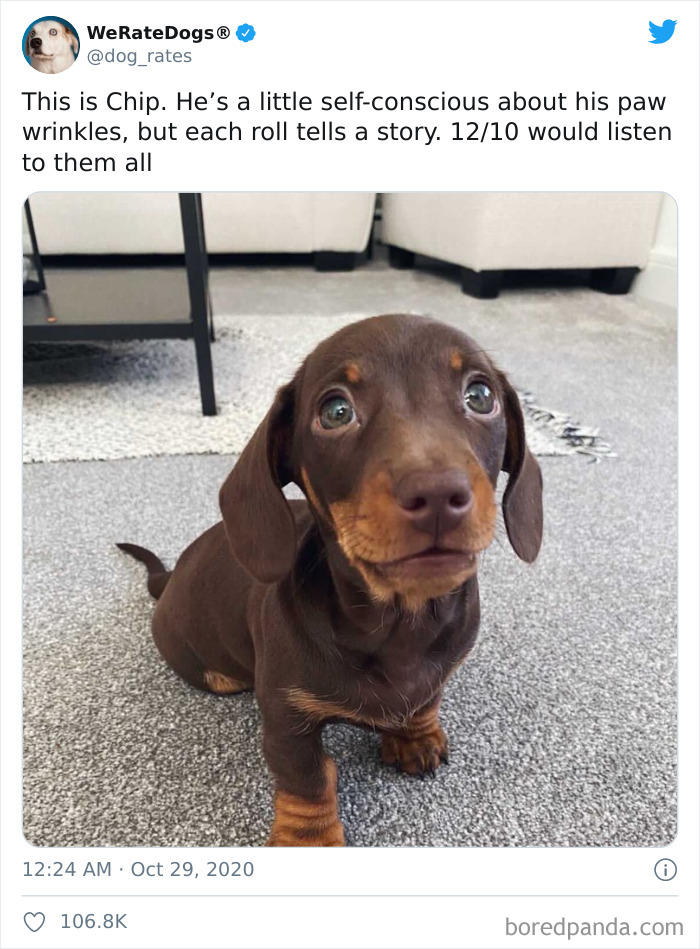 We-Rate-Dogs-Twitter
