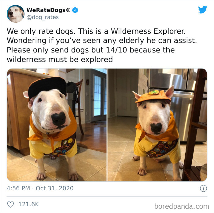 We-Rate-Dogs-Twitter