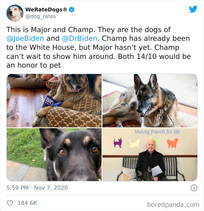 We-Rate-Dogs-Twitter