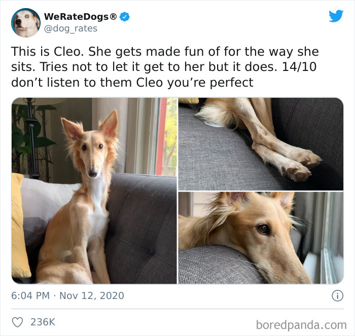 We-Rate-Dogs-Twitter