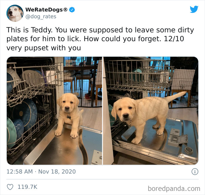 We-Rate-Dogs-Twitter