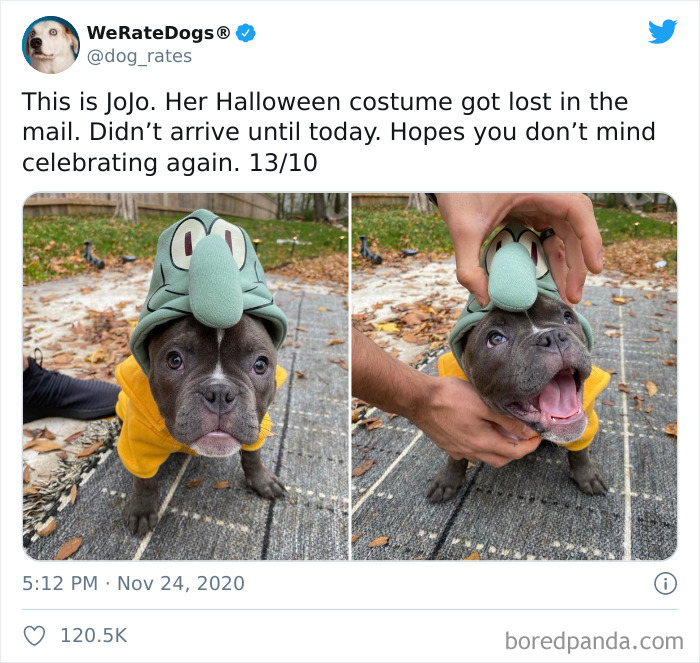 We-Rate-Dogs-Twitter