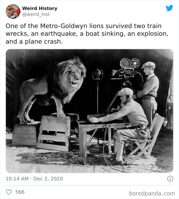 Weird-History-Twitter