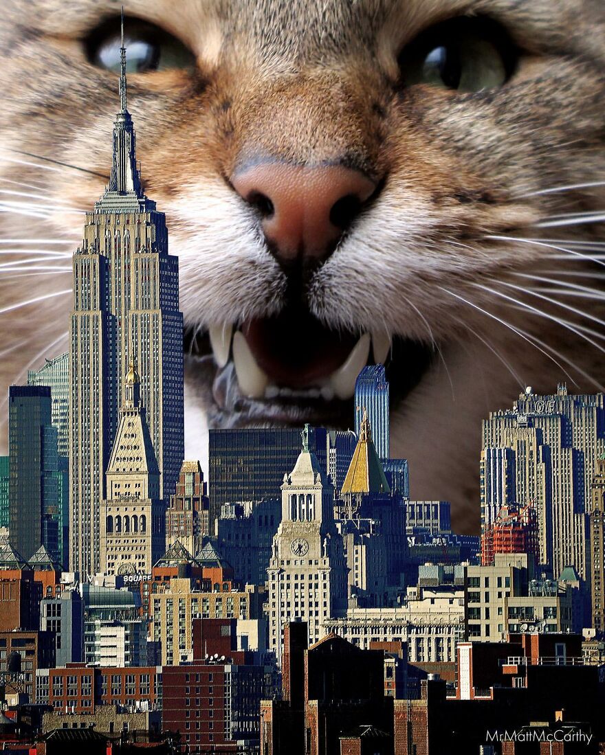 Artist Imagines The World With Giant Cats, And The Result Is Purrrfect