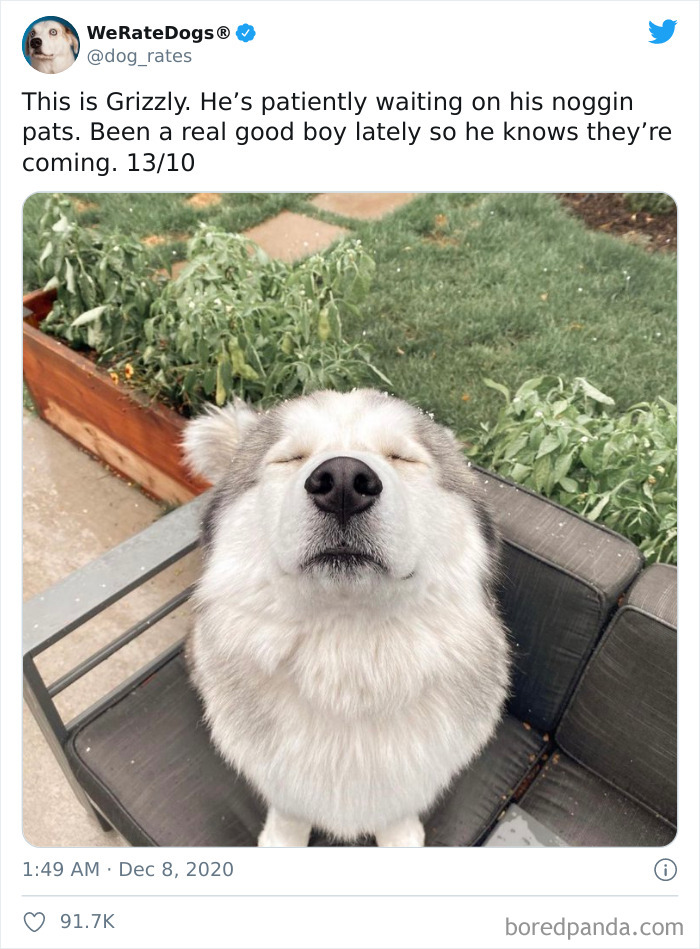 We-Rate-Dogs-Twitter